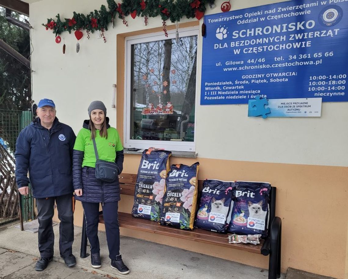 Chełm. Bezdomne zwierzęta pod skrzydłami Fundacji Cemex