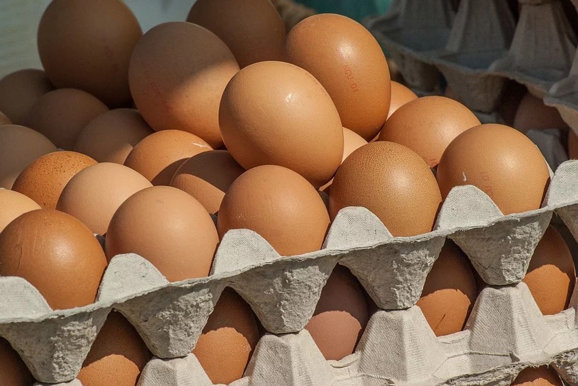 Biedronka wycofała część jaj ze sprzedaży. Klienci mogą odzyskać pieniądze za ich zakup