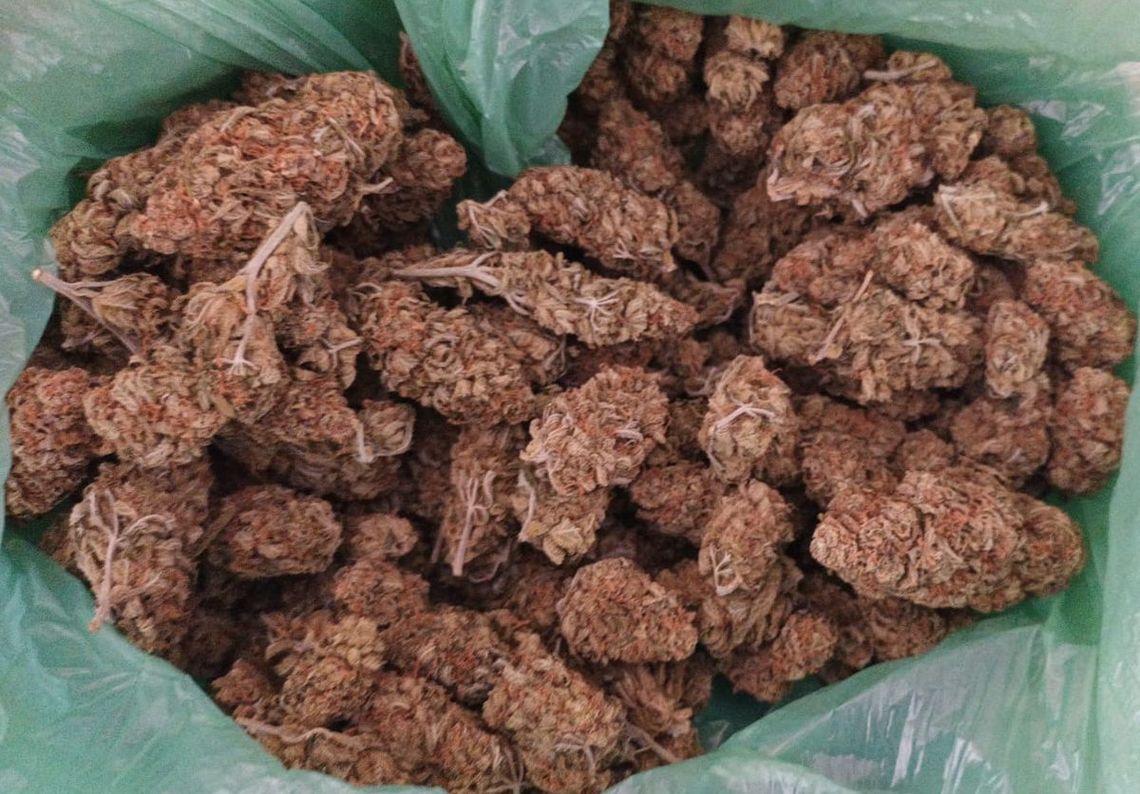 Blisko 700 porcji narkotyków. 21-latek trafił do aresztu