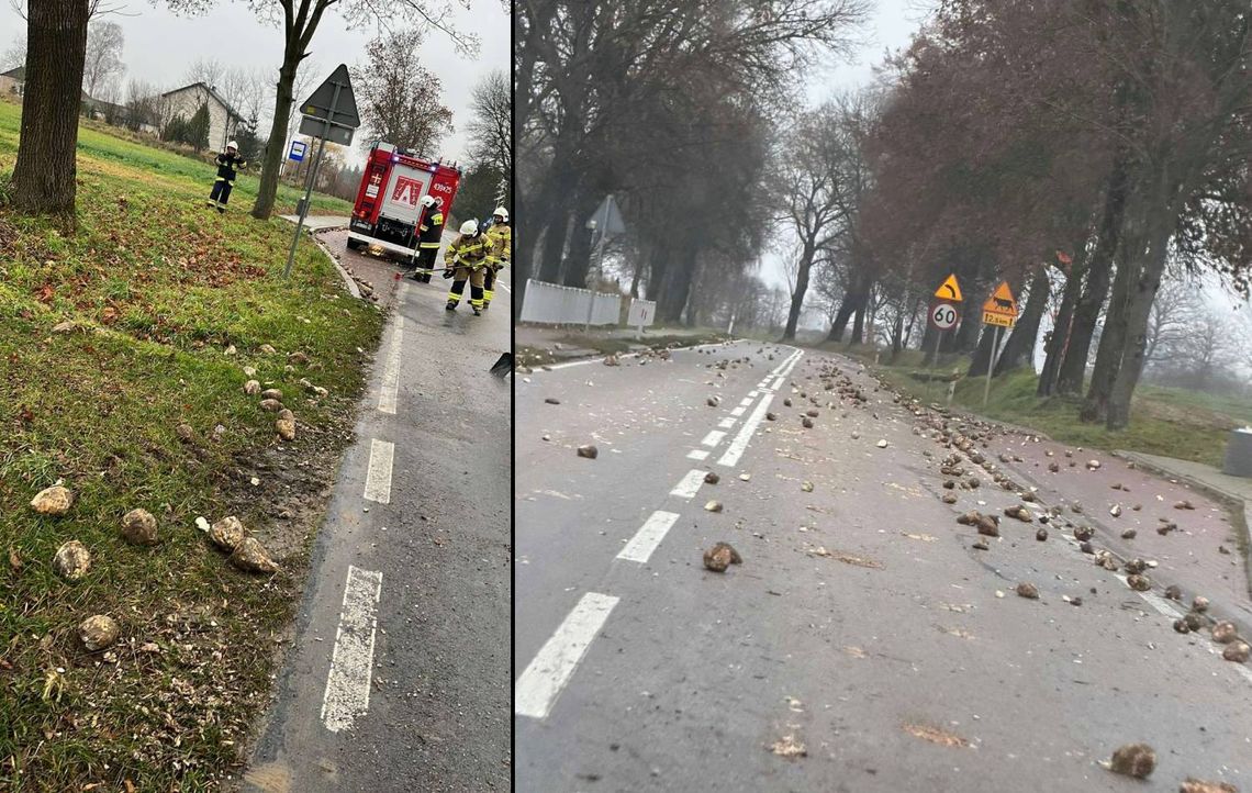 Buraki cukrowe zablokowały drogę wojewódzką w Borówku. Akcja straży pożarnej! To zdarzenie spowodowało utrudnienia w ruchu na drodze wojewódzkiej 16 listopada nr 842 w Borówku w gminie Żółkiewka.