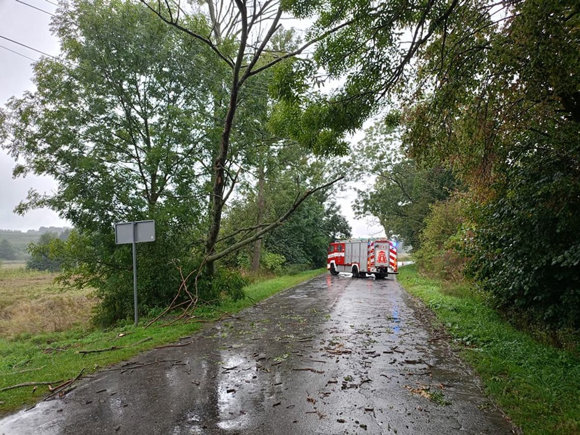Burza nad gminą Izbicą powaliła drzewa. Na jedno najechał ford
