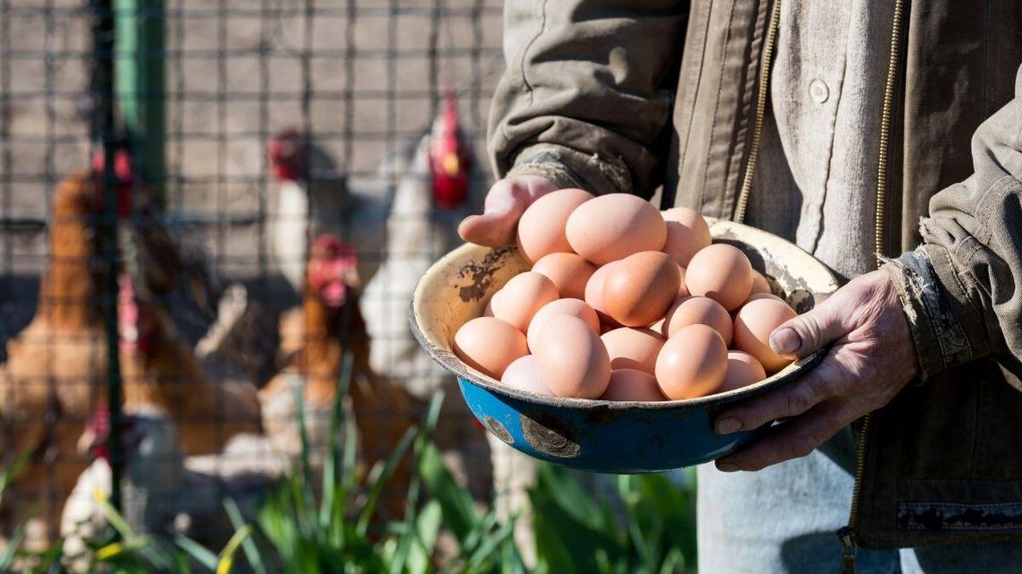 Ceny jaj przed Wielkanocą 2026. Będzie jeszcze drożej niż jest?