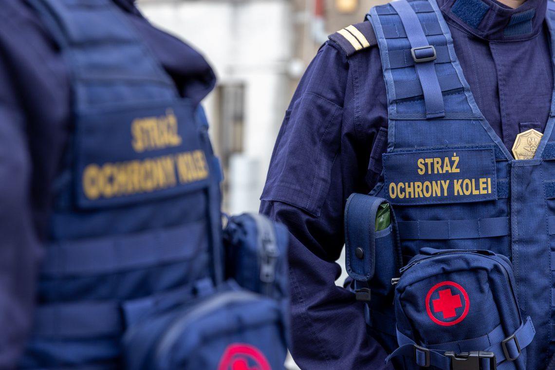 Chełm. Agresywny 38-latek znieważył sokistów. Odpowie przed sądem za atak na funkcjonariuszy