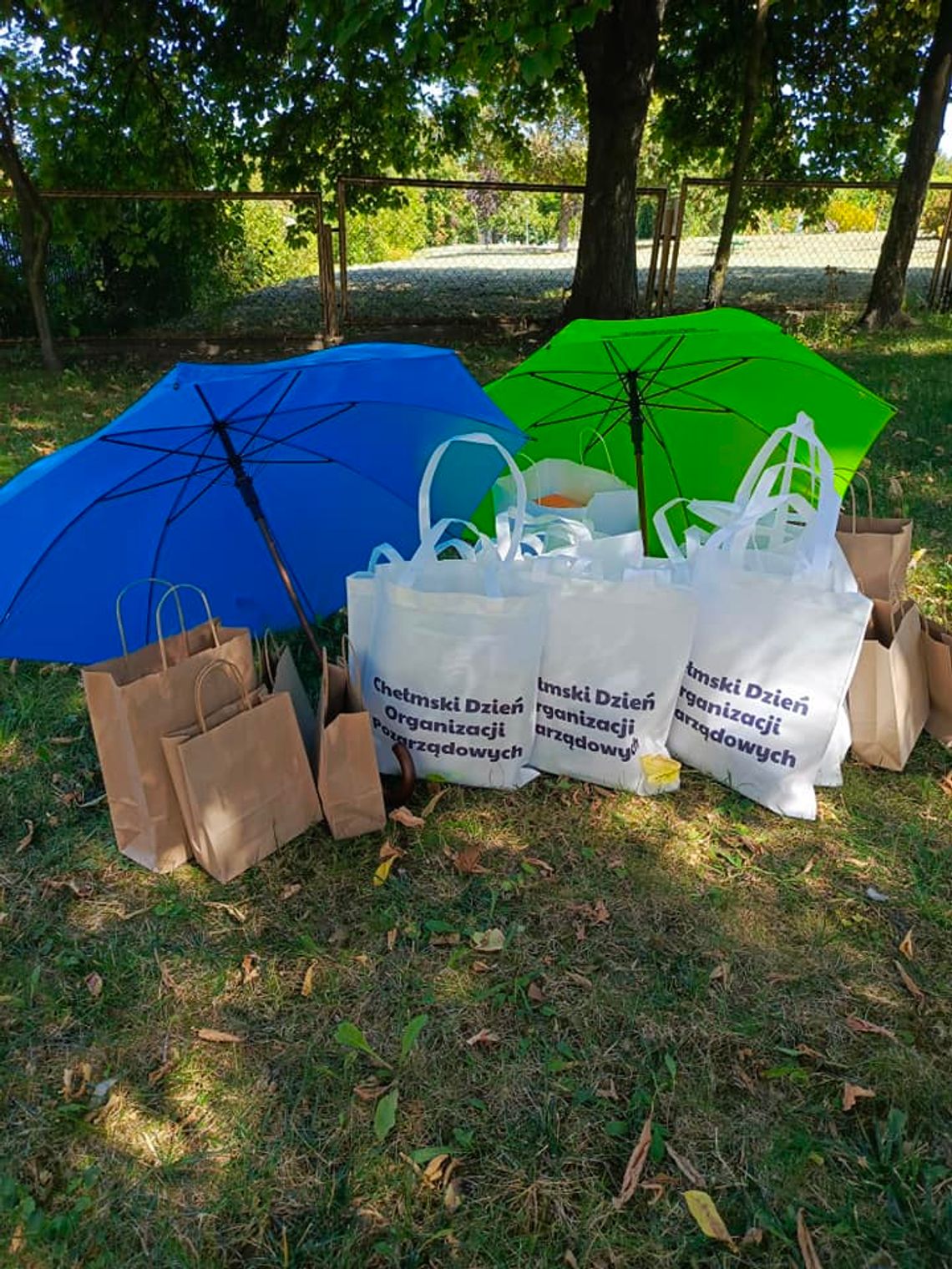 Chełm będzie świętował aktywność społeczną - Dzień Organizacji Pozarządowych