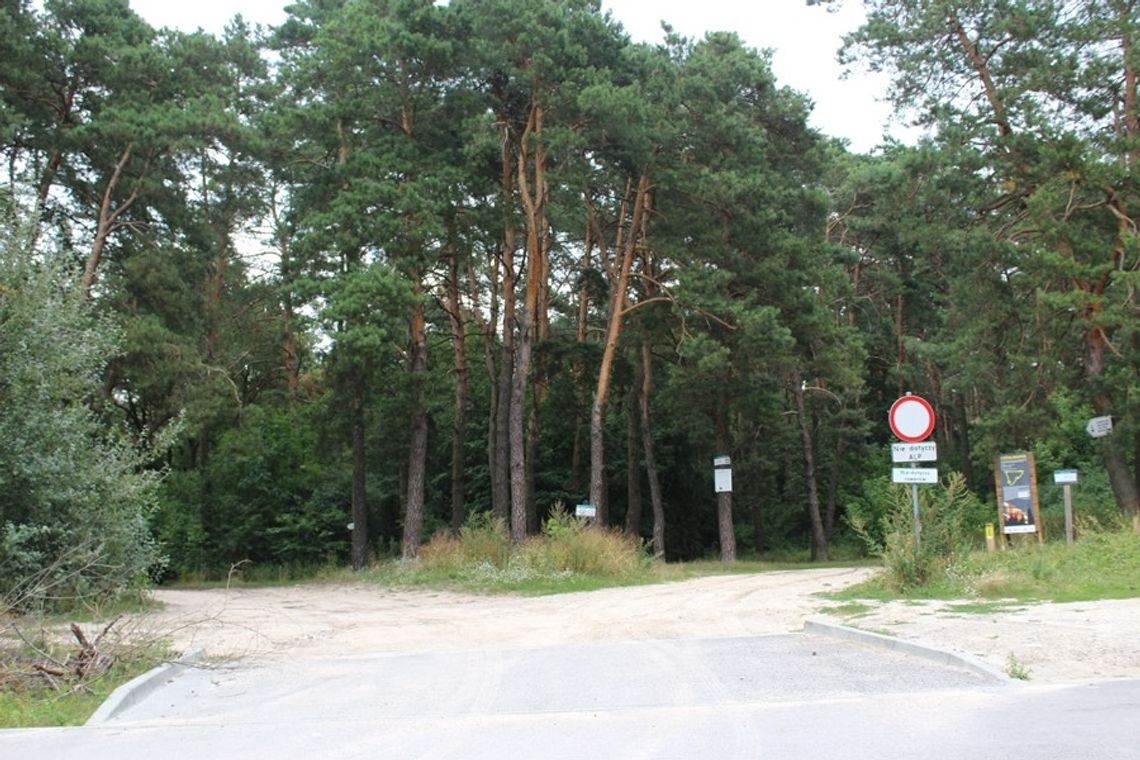 Chełm: Budowa wiaty i zabiegi hodowlane - trwają prace w lesie Borek. Chełm: Budowa wiaty i zabiegi hodowlane - trwają prace w lesie Borek.