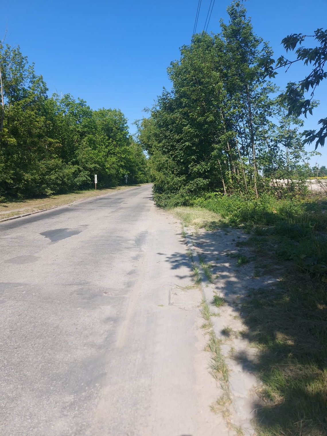 Chełm: Przy Fabrycznej krzewy rosną na ulicy, a samochody jeżdżą chodnikiem Chełm: Przy Fabrycznej krzewy rosną na ulicy, a samochody jeżdżą chodnikiem