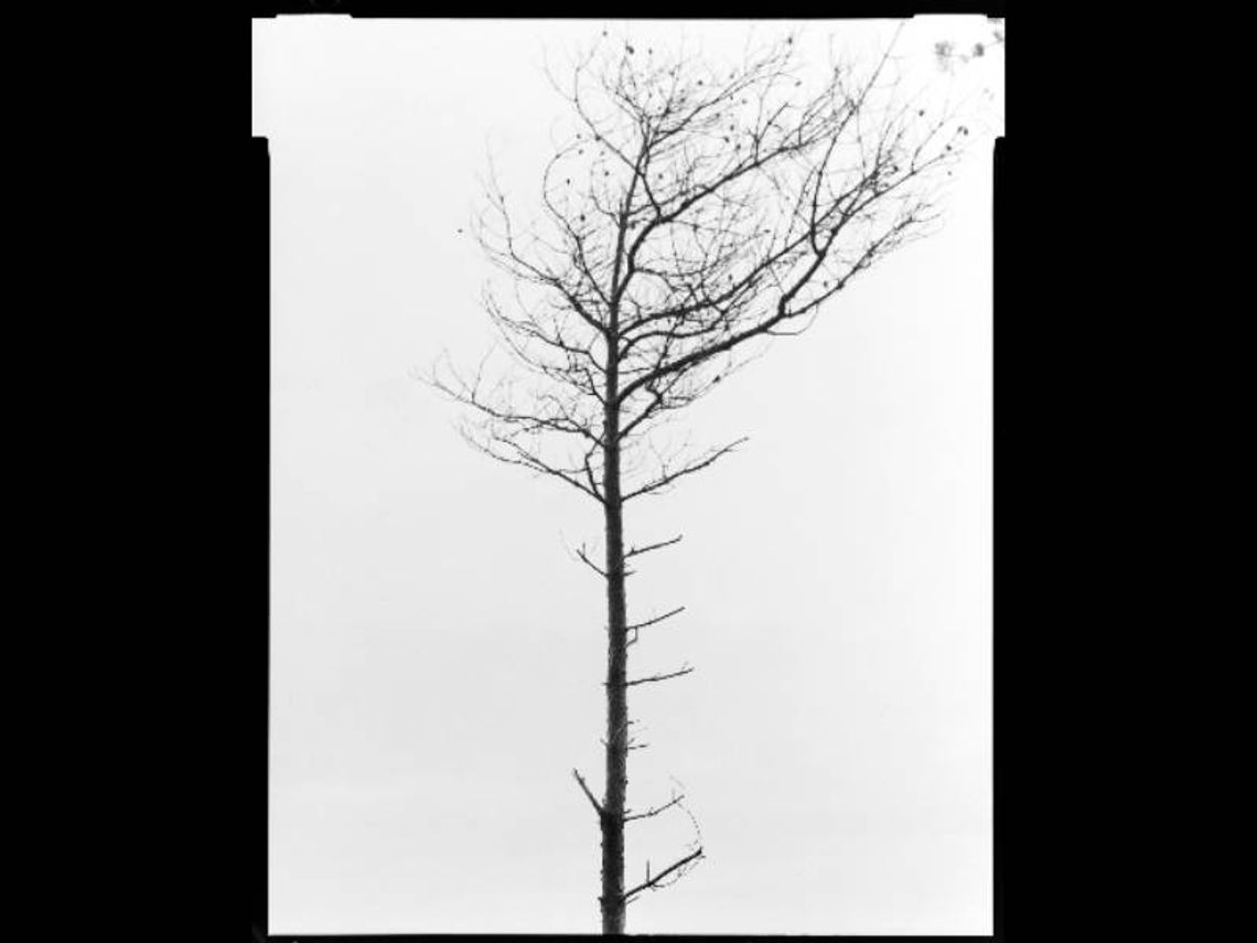 Wernisaż fotografii klasycznej zaplanowano na 15 kwietnia o godzinie 18.00 w chełmskiej Galerii Atelier przy ulicy Lwowskiej 24.