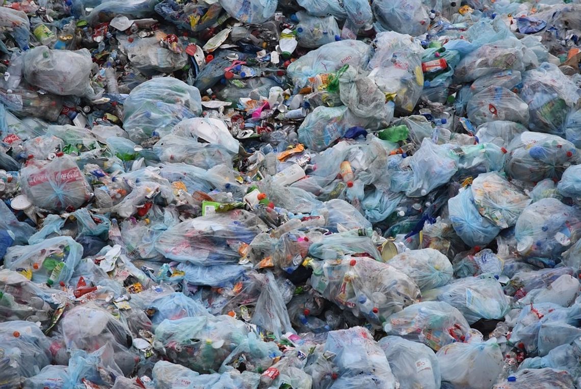 Chełm: Kredowa tonie w śmieciach
