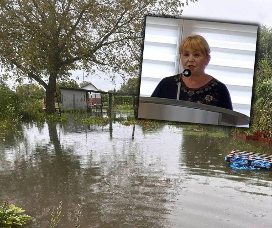 Chełm. Radni dociekali, kto odpowiada za zalane ogródki?