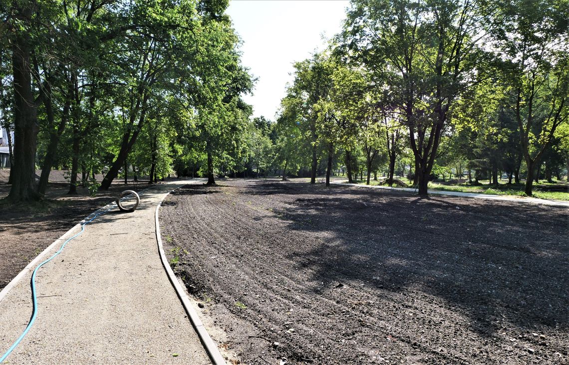 Chełm. Trwają prace w Parku Miejskim. Czy nowa firma robi postępy? [ZDJĘCIA]