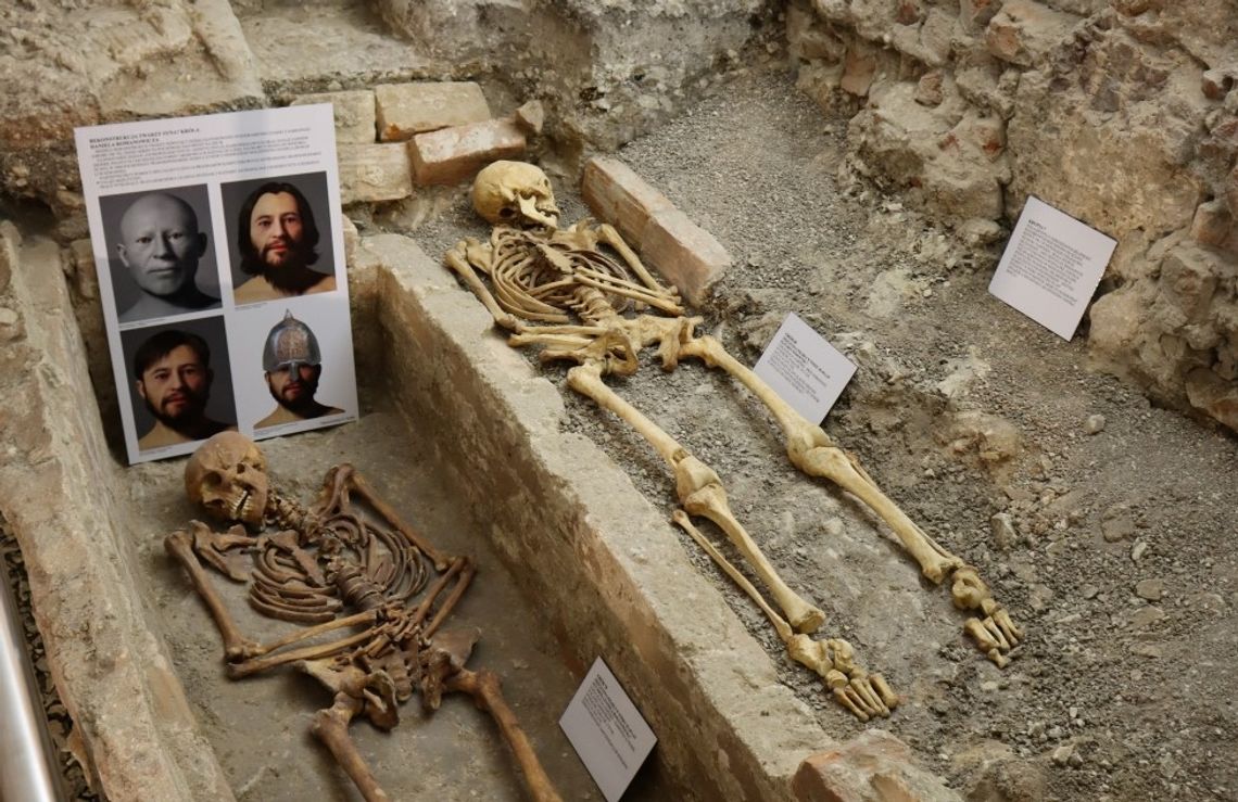 Chełm sprzed 700 lat ma dziś twarz. Niezwykłe rekonstrukcje w podziemiach bazyliki [ZDJĘCIA]