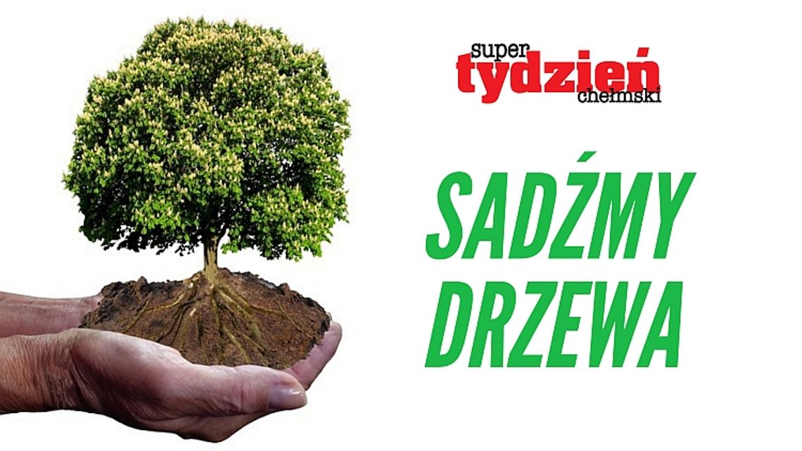 Chełm: Świętujemy Światowy Dzień Drzew