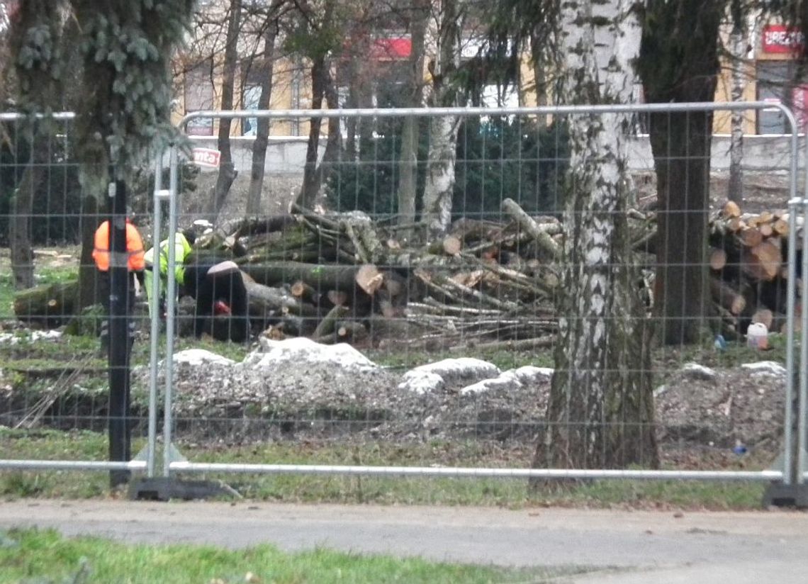 Chełm. Wycinka przykra, ale konieczna. Mieszkańcy nie mogą na to patrzeć...