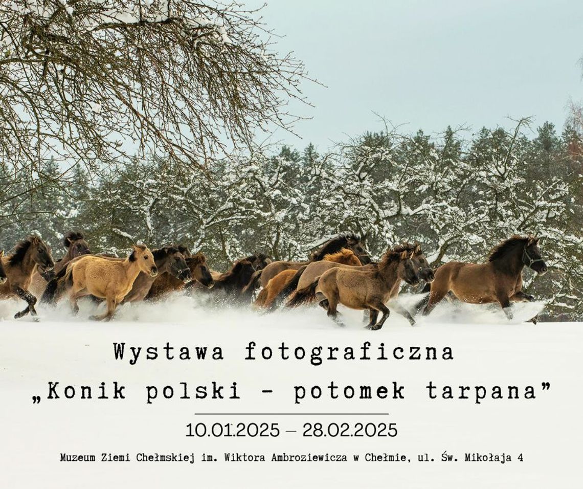 Chełm. Wystawa fotograficzna w murach kaplicy św. Mikołaja