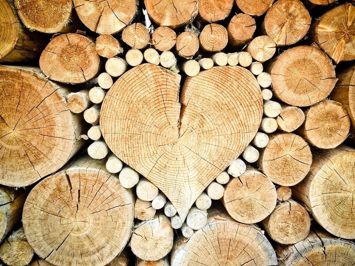 Chełm: Zbiórka drewna dla samotnej mamy