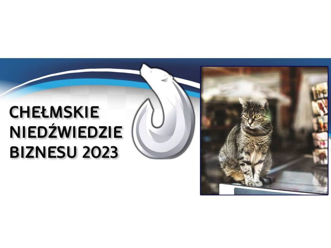 Chełmskie Niedźwiedzie Biznesu 2023. Café Kot - kocia kawiarnia [Kategoria: MIKROPRZEDSIĘBIORSTWO ROKU]