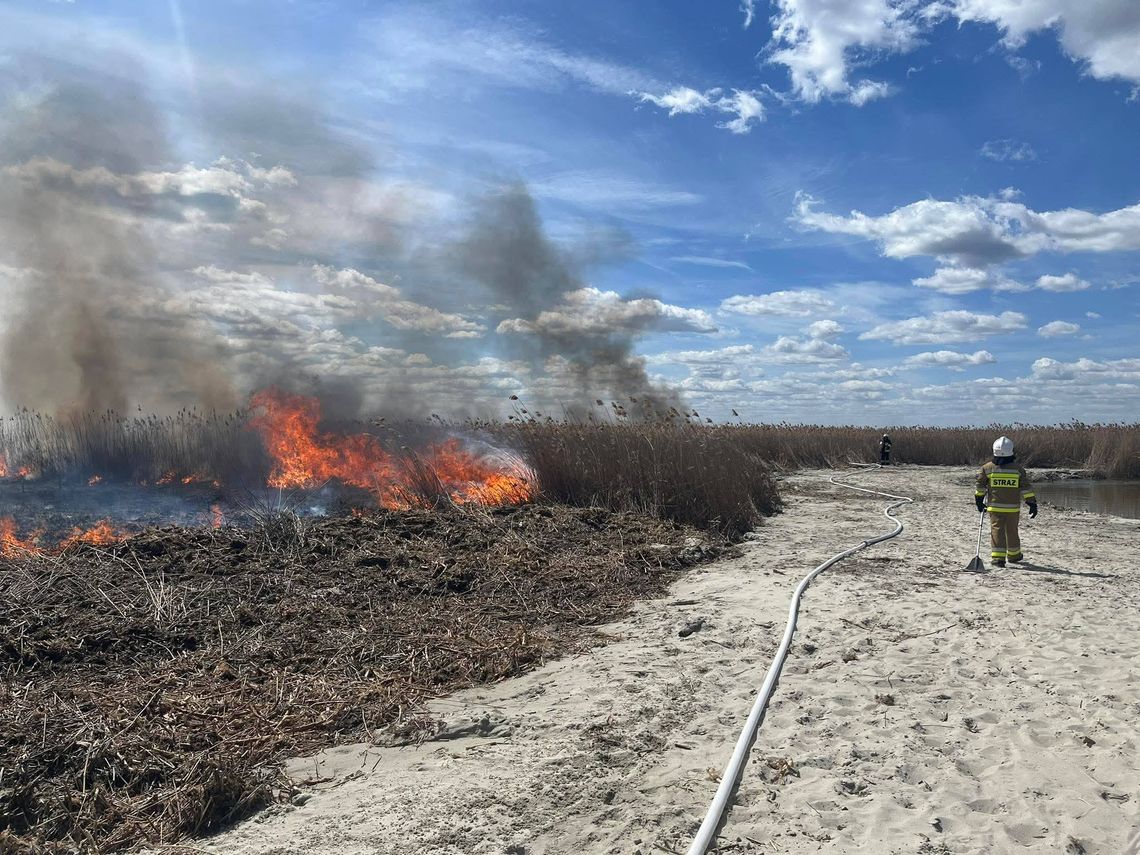 Czarna seria pożarów w powiecie włodawskim. Strażacy walczyli z żywiołem przez wiele godzin [FILM, ZDJĘCIA]