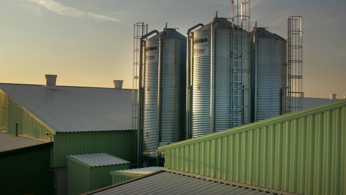 Czy da się podnieść ceny skupu zbóż na ziemi włodawskiej?