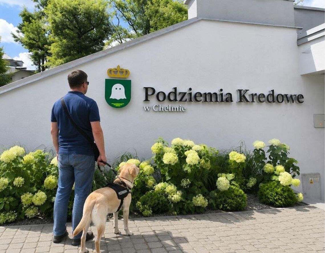 Zdjęcie ilustracyjne