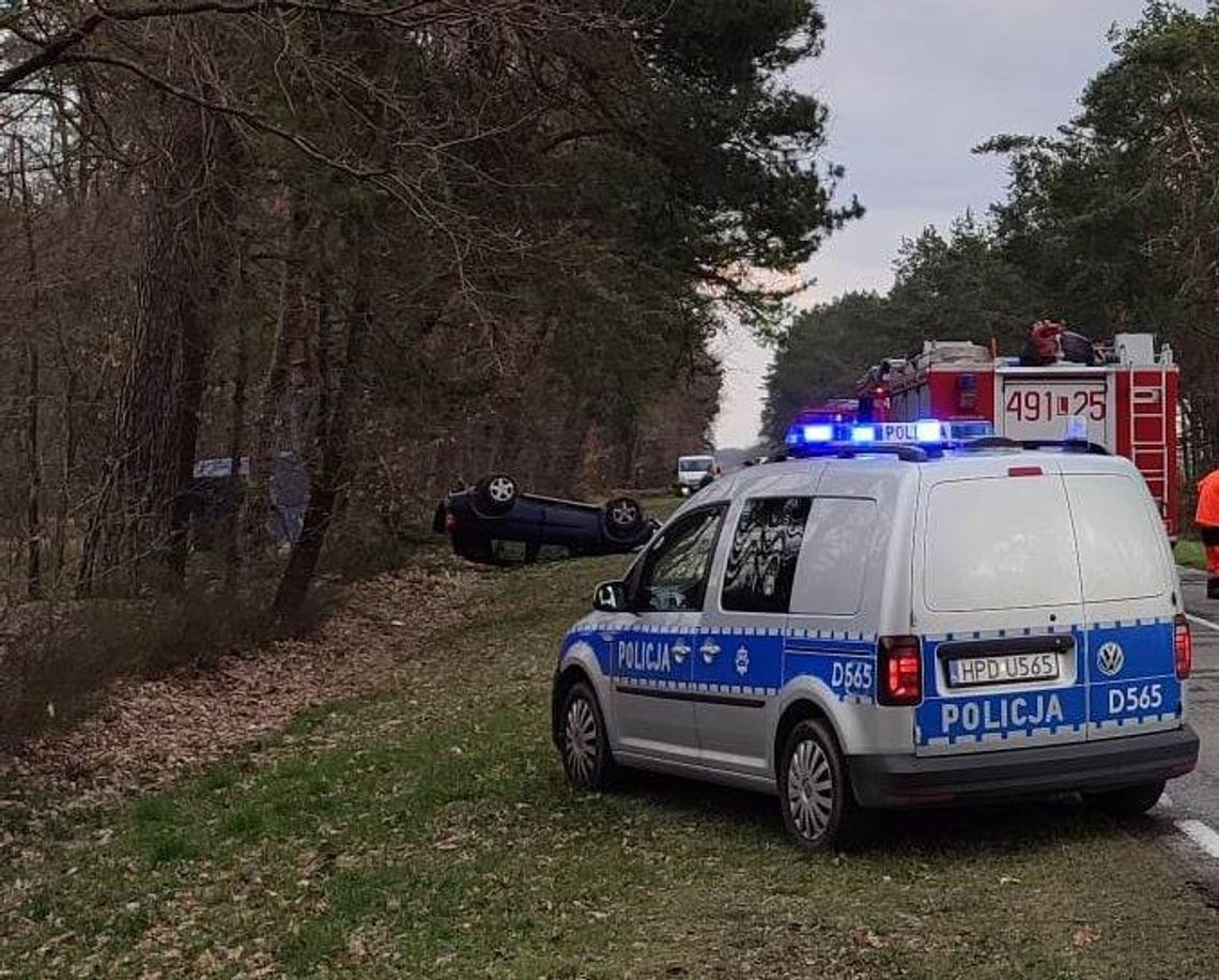 Dachował po zderzeniu z łosiem. W samochodzie były małe dzieci