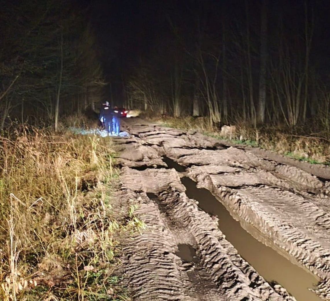 Kobieta utknęła autem w błocie w lesie włodawskim