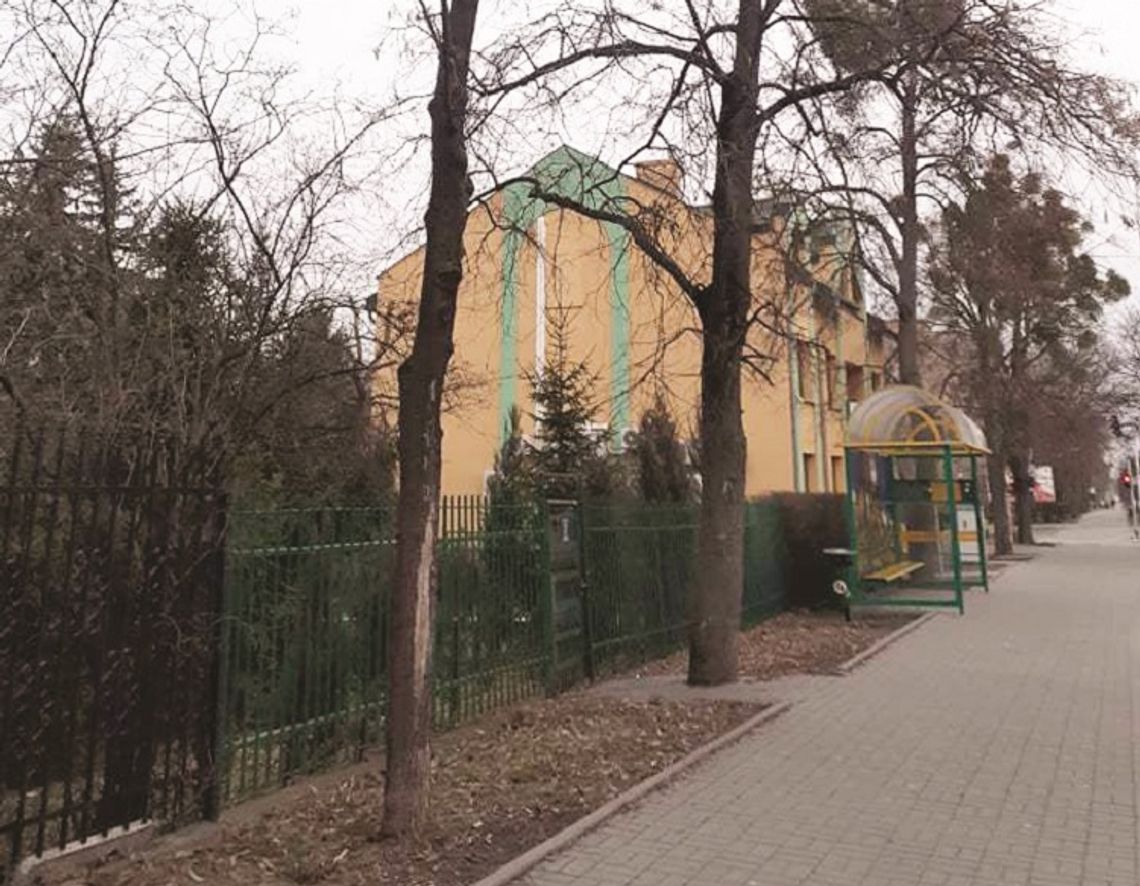 Drzewo miało zniknąć