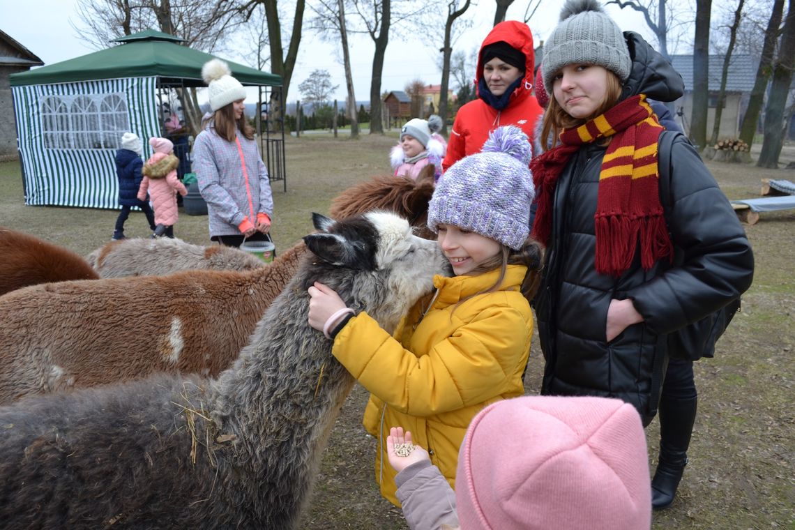 Dwa tygodnie z gorzkowskim Centrum Społeczno – Kulturalnym