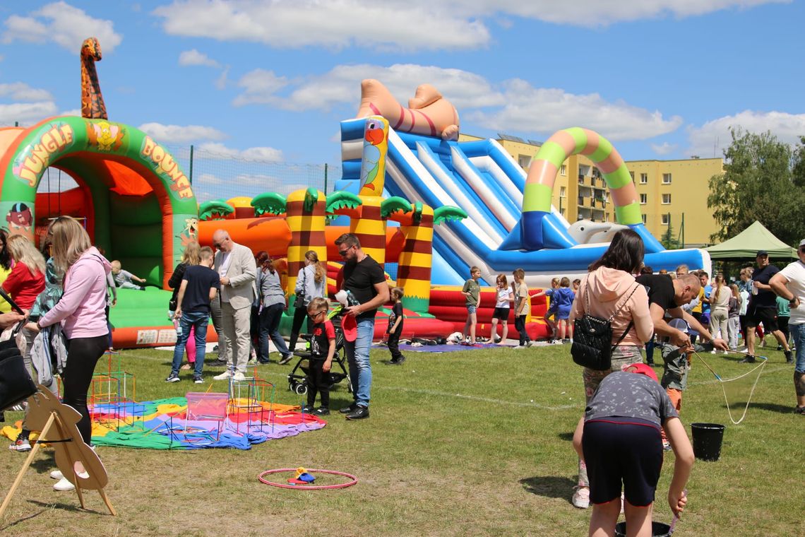 Chełm. Ekologiczny Festyn Rodzinny - nauka i zabawa dla dużych i małych [ZDJĘCIA]