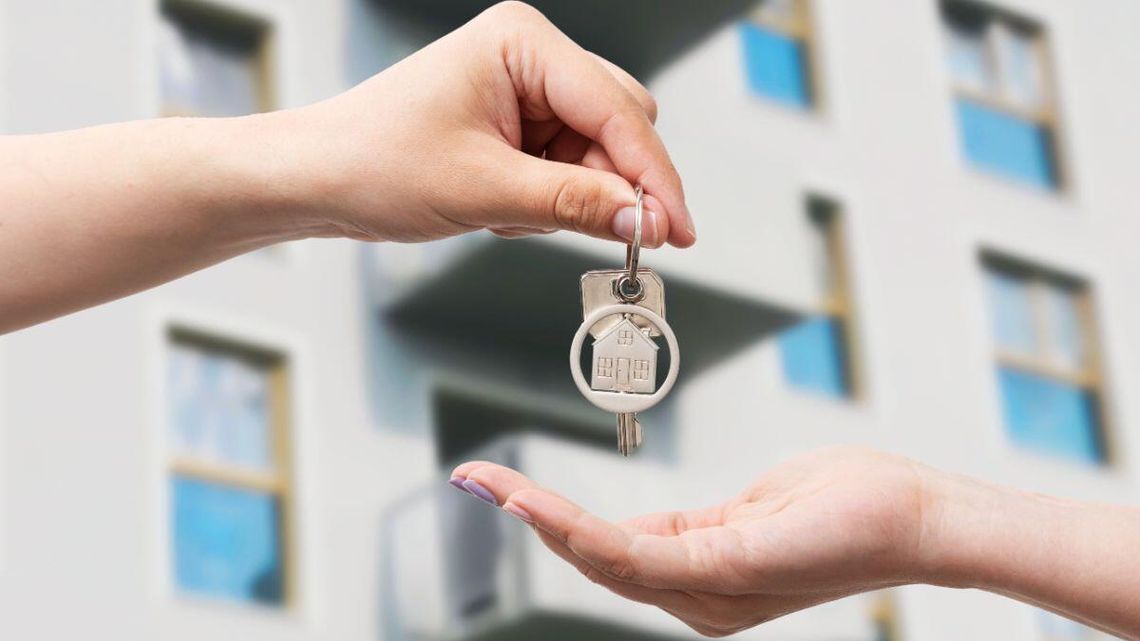 Fiskus bierze ich na celownik. Specjalny system przegląda internet i typuje cel