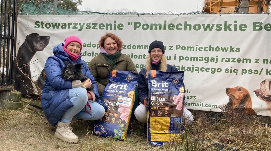 Fundacja Cemex: Świąteczne wsparcie dla bezdomnych zwierząt