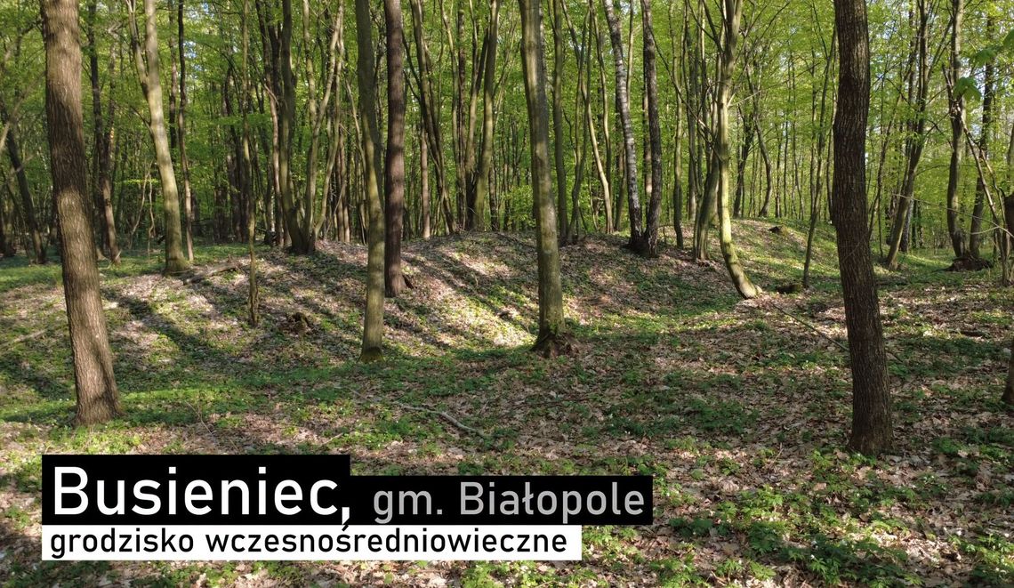 Gm. Białopole. Las skrywa twierdzę sprzed tysiąca lat. Grodzisko w Busieńcu wciąż nie zdradziło wszystkich swoich tajemnic Ukryte pośród lasów gminy Białopole, niemal niewidoczne dla przypadkowych przechodniów, wczesnośredniowieczne grodzisko w Busieńcu pozostaje jedną z największych archeologicznych zagadek wschodniej Lubelszczyzny. Potężne wały, ślady dawnych umocnień i zaskakująco niewielka liczba odkrytych zabytków.