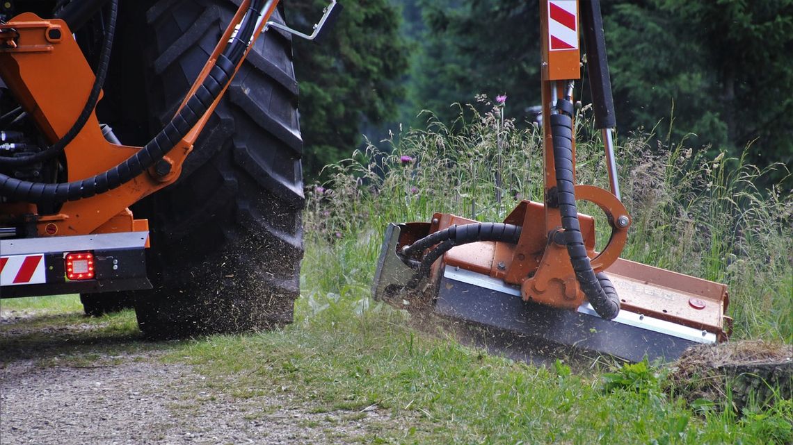 Gm. Dorohusk. Pobocza niczym dziki gąszcz? Aż trudno cokolwiek dostrzec...