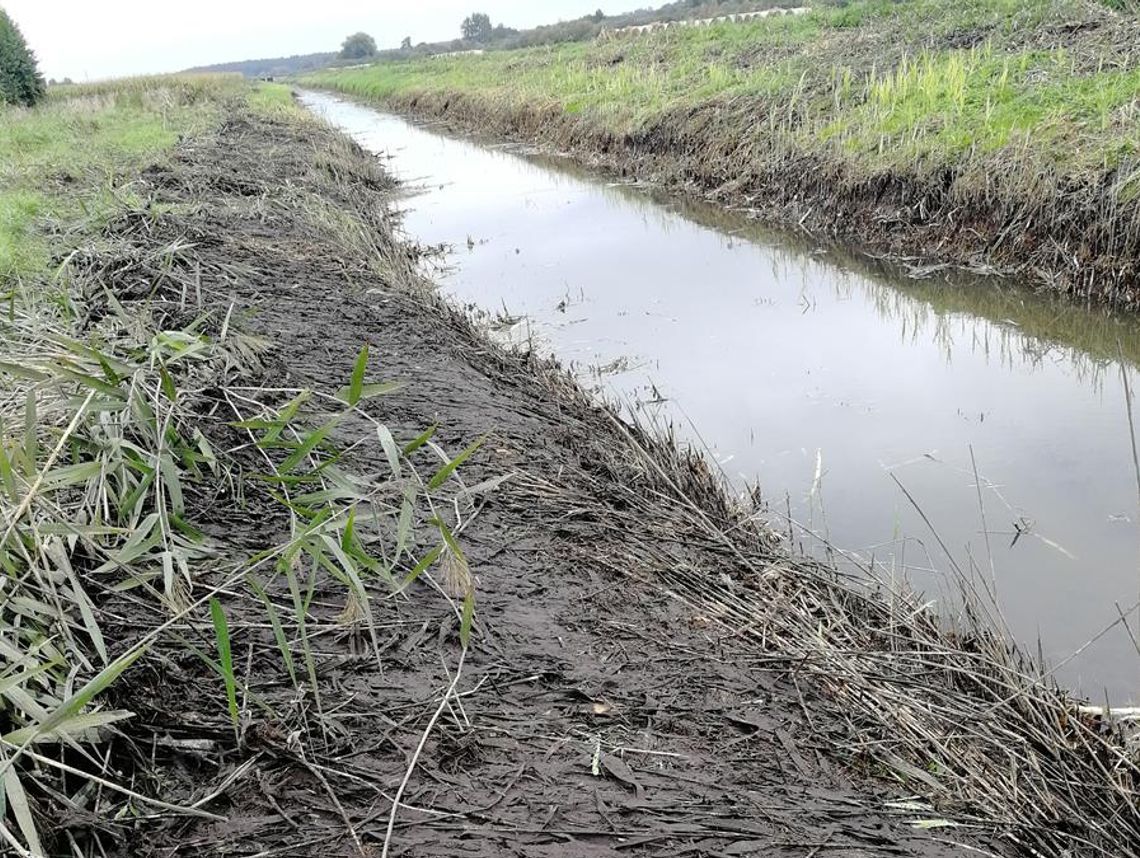 Gm. Dubienka. Gmina musi dbać o rzekę. Tam i tylko tam