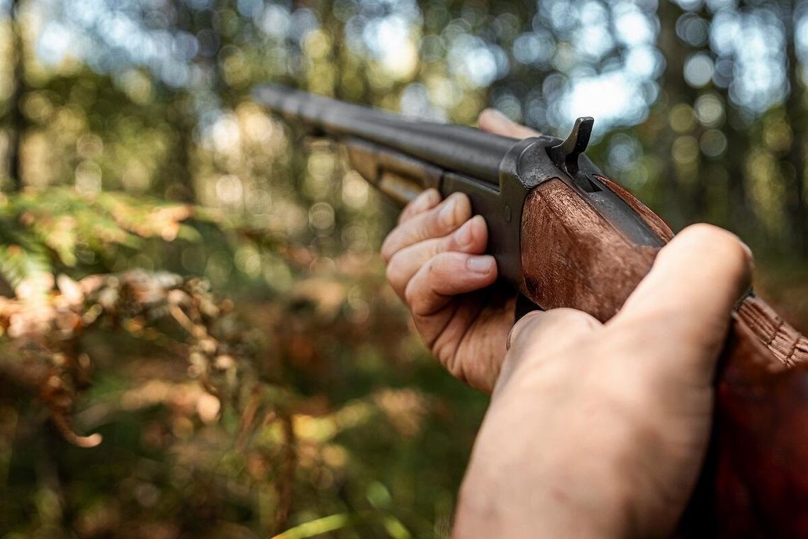 Gm. Gorzków. Będą polowania zbiorowe. Można się sprzeciwiać