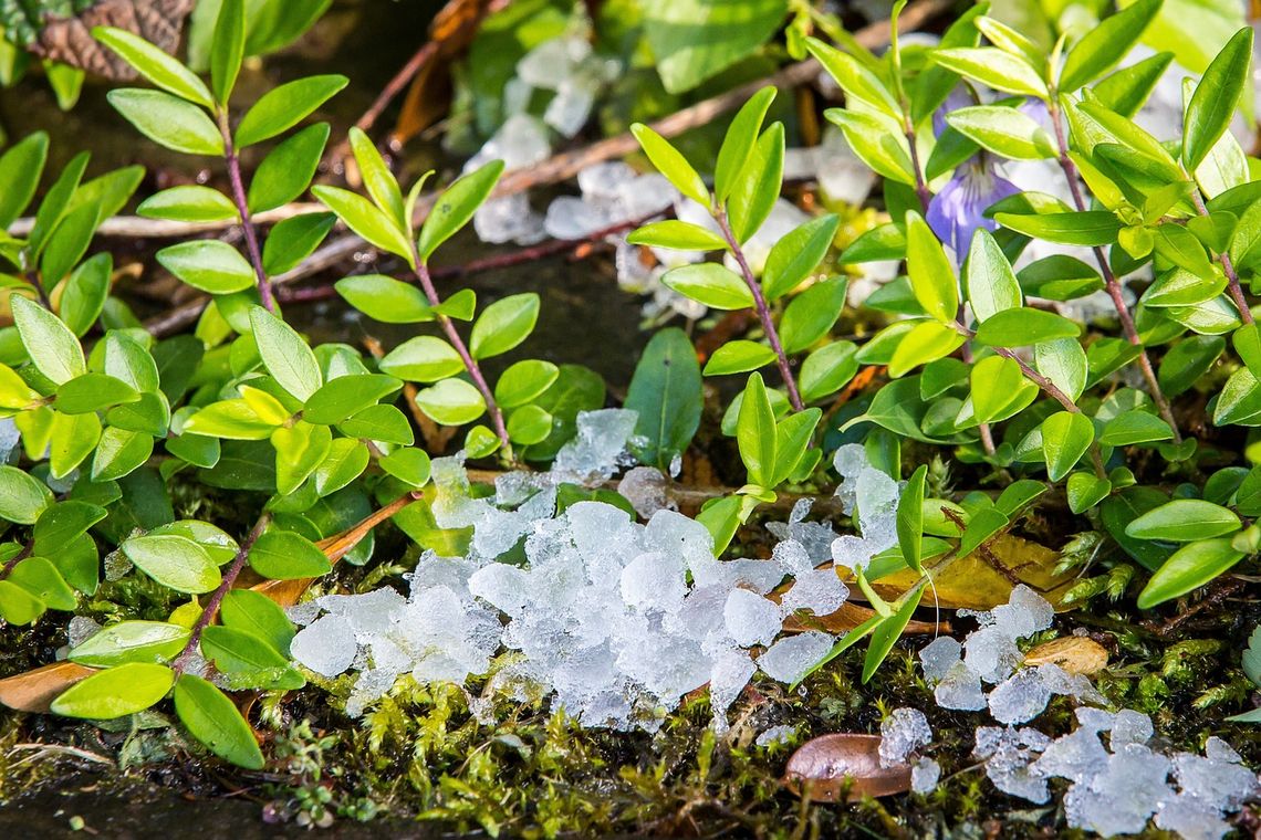 Gm. Gorzków. Poszkodowany rolniku, możesz liczyć na wsparcie!