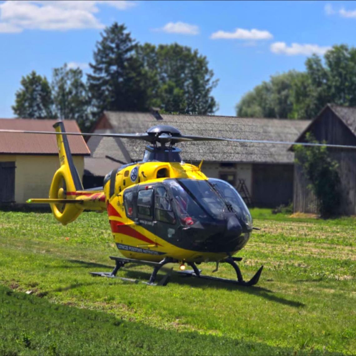 Gm. Rejowiec. Dramat czterolatki. Pies zaatakował dziecko Gm. Rejowiec. Dramat czterolatki. Pies zaatakował dziecko