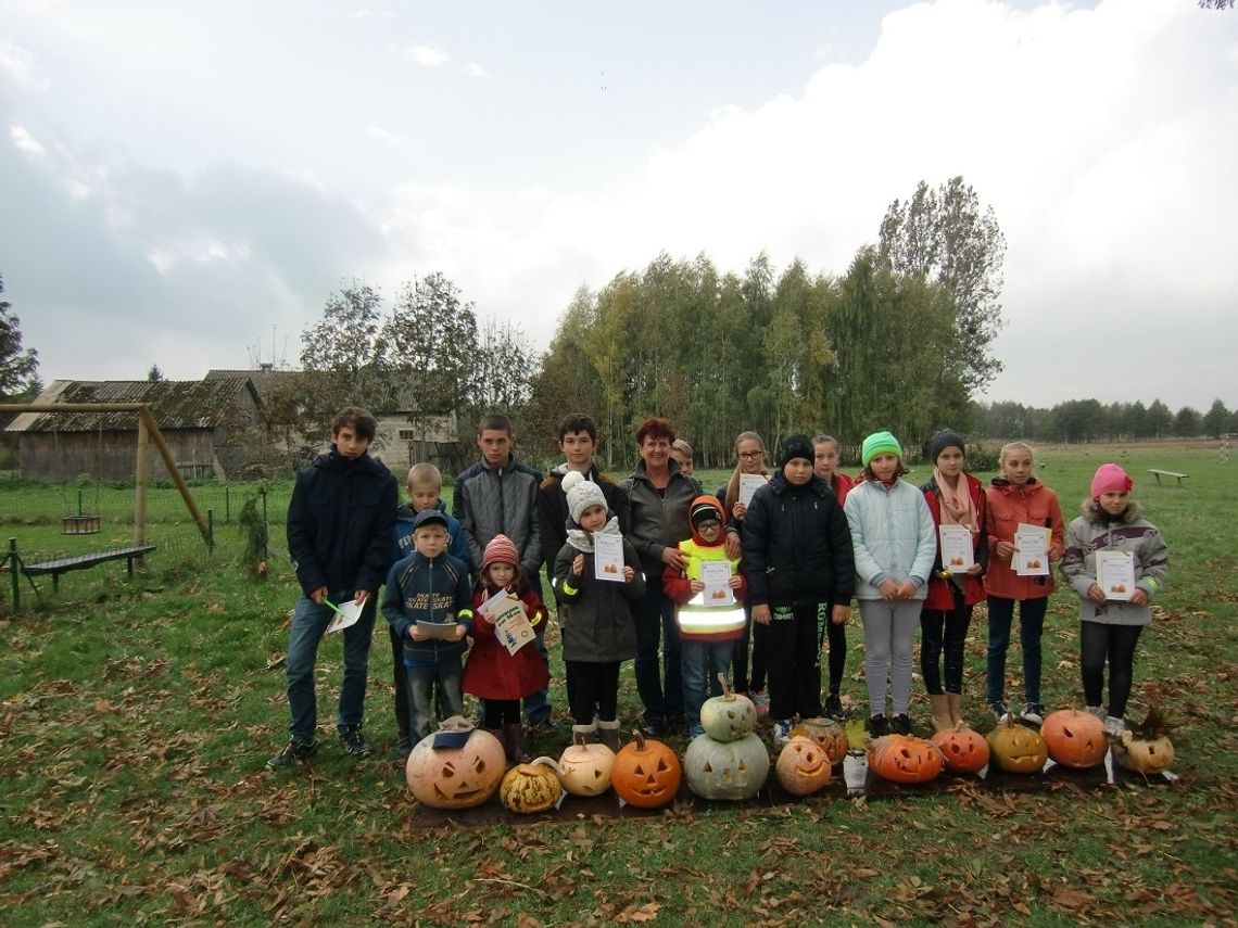 Gm. Rejowiec. Działają, aby wieś nie pozostała uśpiona