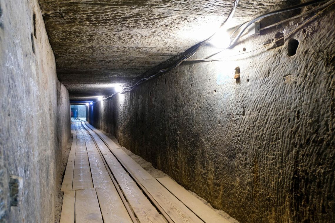 W czasie obrad, jakie miały miejsce 26 lutego, burmistrz Tadeusz Górski przybliżył radnym szczegóły działań, jakie realizować chcą władze w kontekście sformułowanego przez rządzących nowego programu obrony cywilnej. Jak przebiega realizacja założeń programu w gminie Rejowiec?