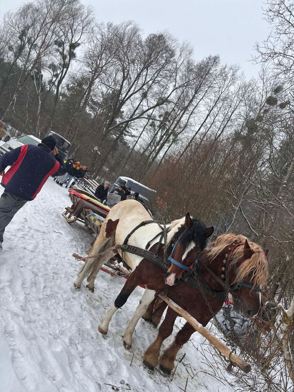 Gm. Ruda-Huta. Wyjątkowy charytatywny kulig dla Szymona – bawimy się i pomagamy! Gm. Ruda-Huta. Wyjątkowy charytatywny kulig dla Szymona – bawimy się i pomagamy!