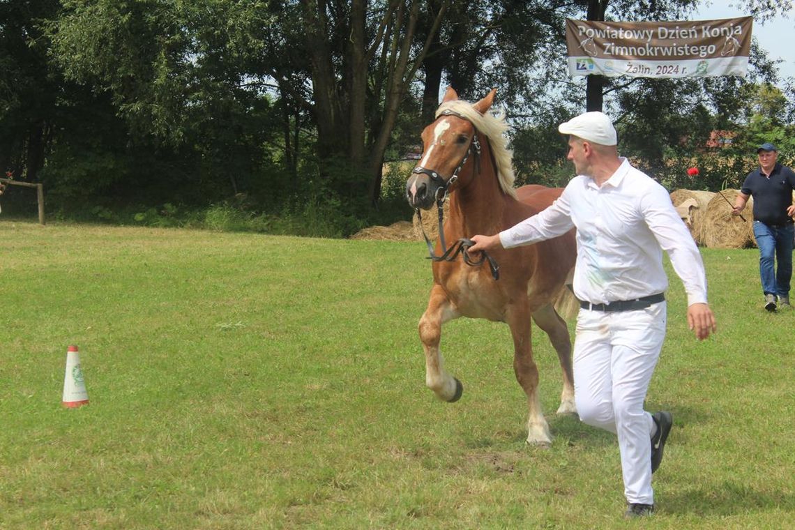 Gm. Ruda-Huta. Żalin zaprasza na święto hodowców i miłośników koni