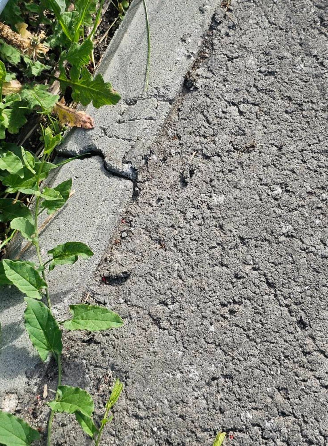 Gm. Sawin. Mnożą się znaki zapytania w sprawie ścieżki. Im bliżej odbioru inwestycji, tym jest ich więcej