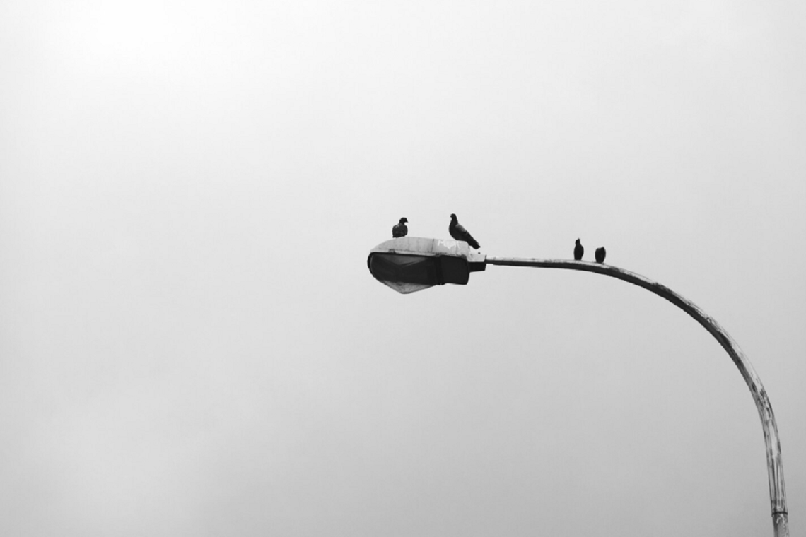 Gm. Sawin. Sajczyce alarmują w sprawie lamp. Energetyczna niefrasobliwość może sporo kosztować