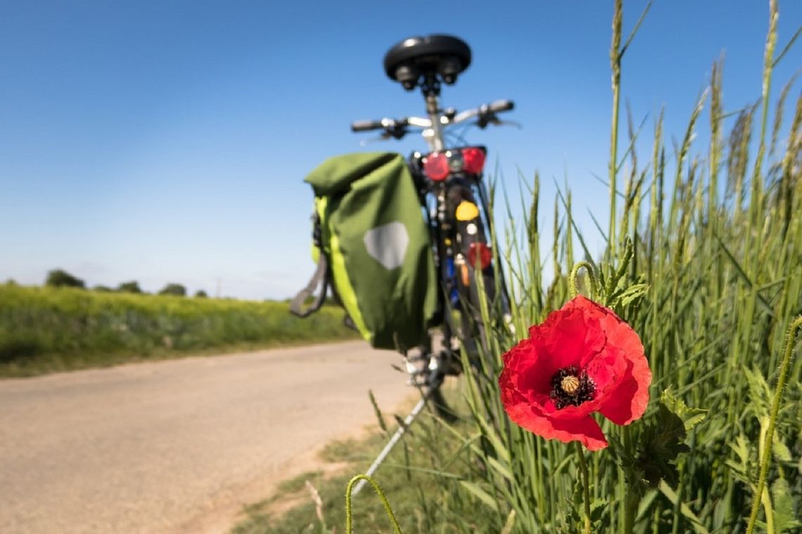 Gm. Sawin. Ścieżka pieszo-rowerowa – gratka dla turystów i miłośników regionu