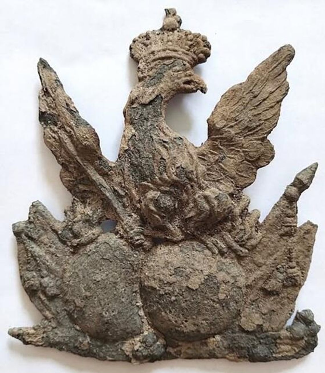 Sensacyjne znalezisko poszukiwacza z Sawina. Takiego orła nie ma w całym kraju