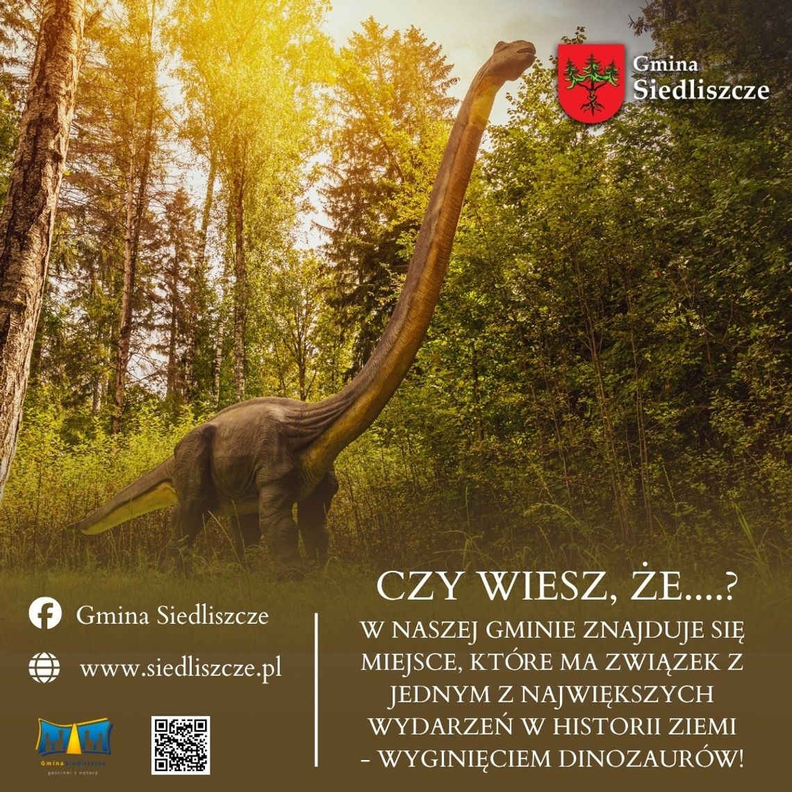 Zupełnie nieoczekiwanie Lechówka stała się punktem zainteresowania dla naukowców z całego świata. To właśnie tutaj kryje się niezwykła historia sprzed 65 milionów lat. Zapisała się w skałach. Badania geologiczne ujawniły, że teren ten skrywa pierwszy w Polsce ślad kosmicznego kataklizmu.