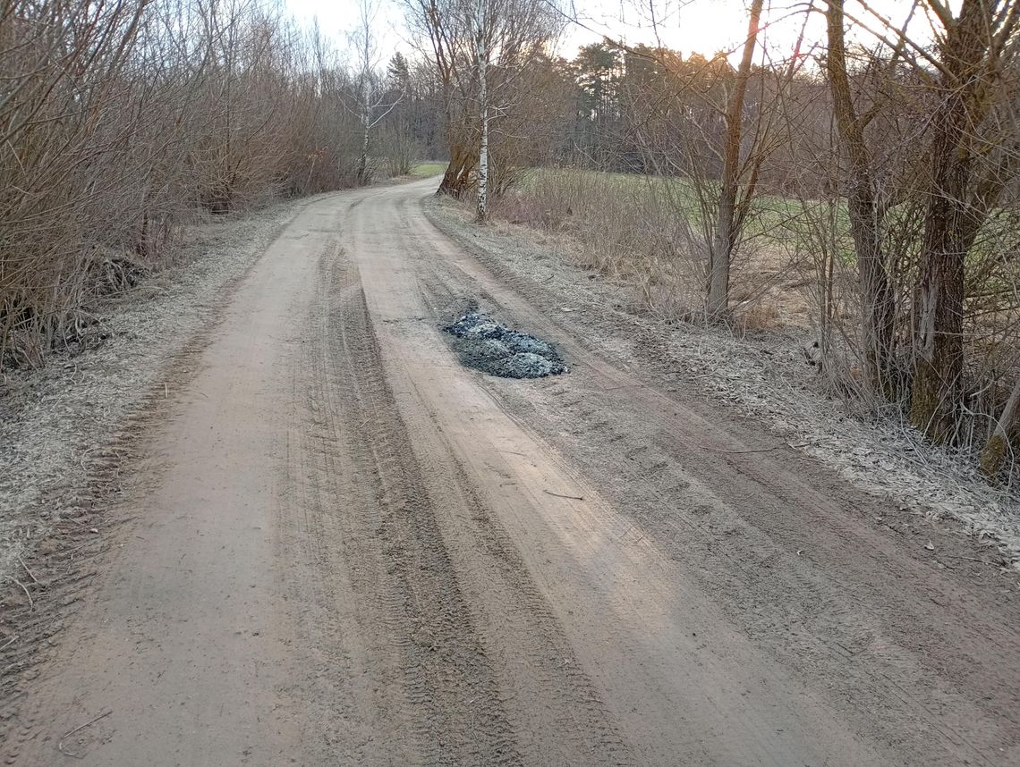 Wydaje się, że wiosenna aura zawitała do nas na dobre. Z chodników i dróg zniknęły ostatnie resztki śniegu, a służby drogowe, które w czasie trudnych miesięcy odpowiadały za bezpieczeństwo mieszkańców regionu, schowały już łopaty i ciężki sprzęt do magazynu.