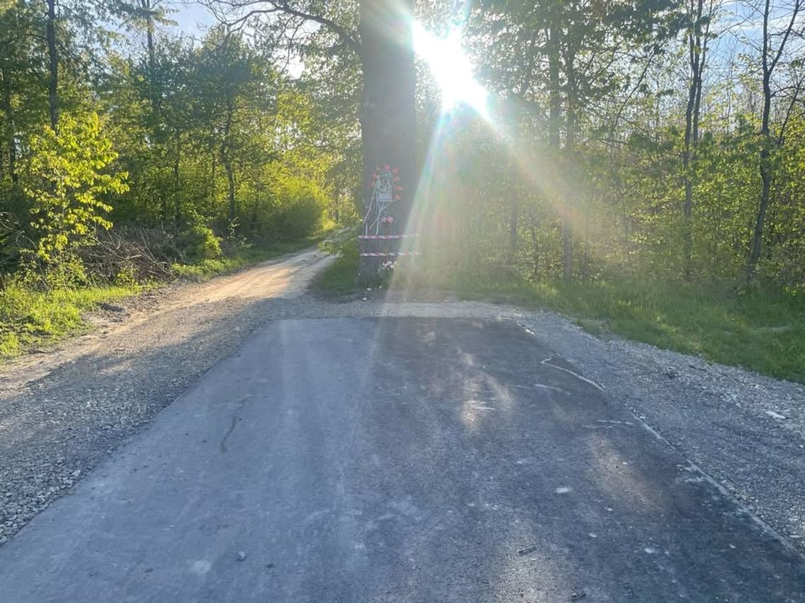 Gm. Siedliszcze. Podróż tą drogą kończy się przy... drzewie