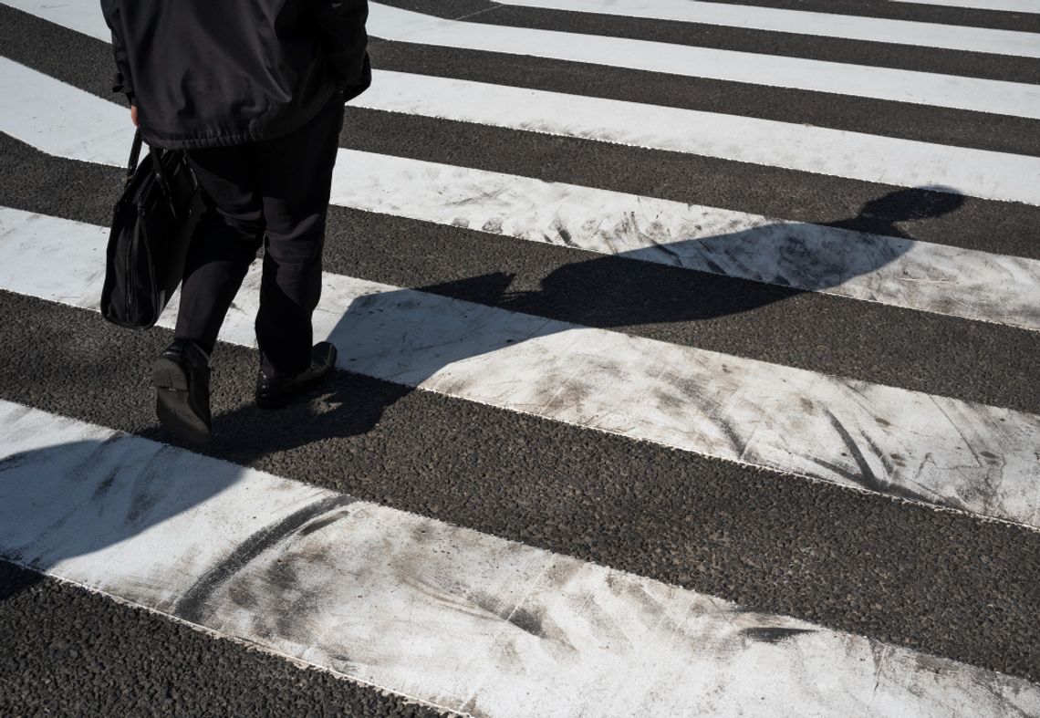 Radny Rady Powiatu w Chełmie, Tomasz Szczepaniak, skierował do władz powiatu interpelację, w której poruszył dwie kwestie: potrzebę wyznaczenia nowych przejść dla pieszych w Siedliszczu oraz konieczność pilnej wycinki suchych drzew w miejscowości Bezek. Z jaką reakcją spotkały się jego postulaty?