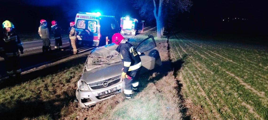 Łoś wyskoczył tuż przed pędzącym oplem. Ranny mieszkaniec powiatu chełmskiego