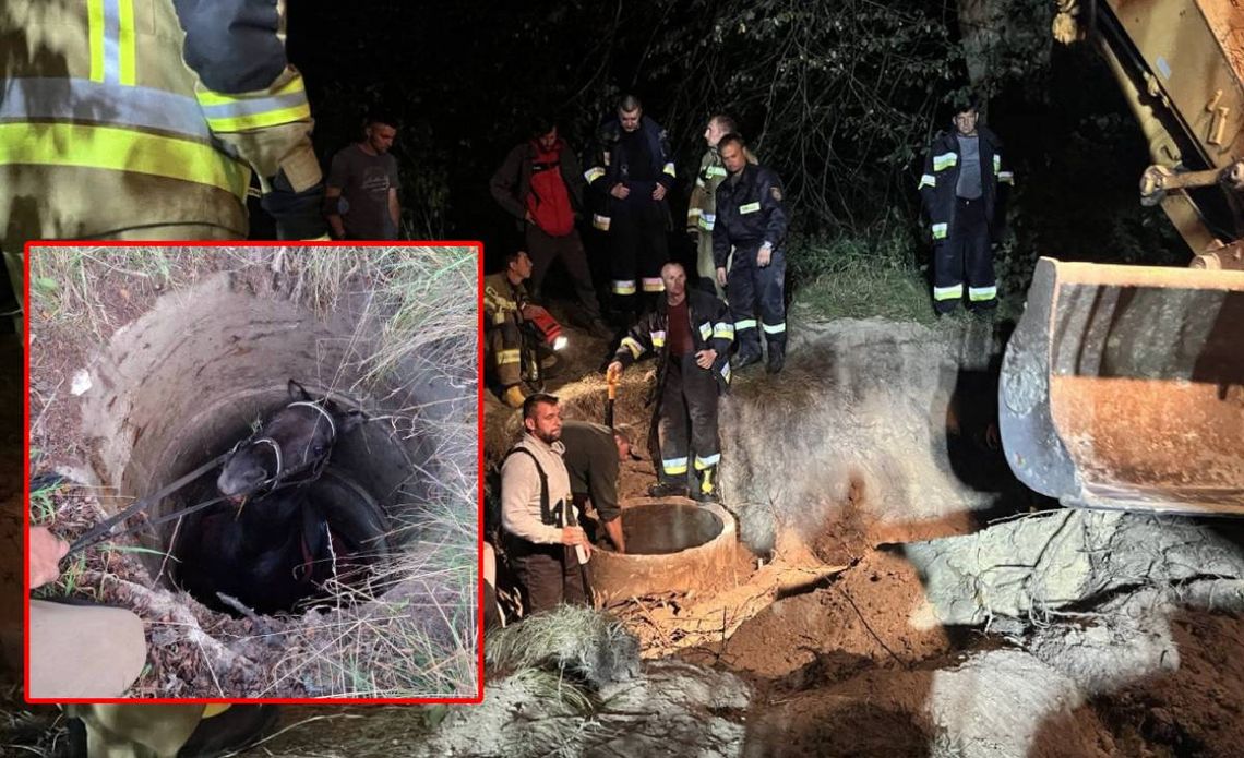 Gm. Włodawa. Koń wpadł do studni. Akcja ratunkowa strażaków trwała ponad 8 godzin!